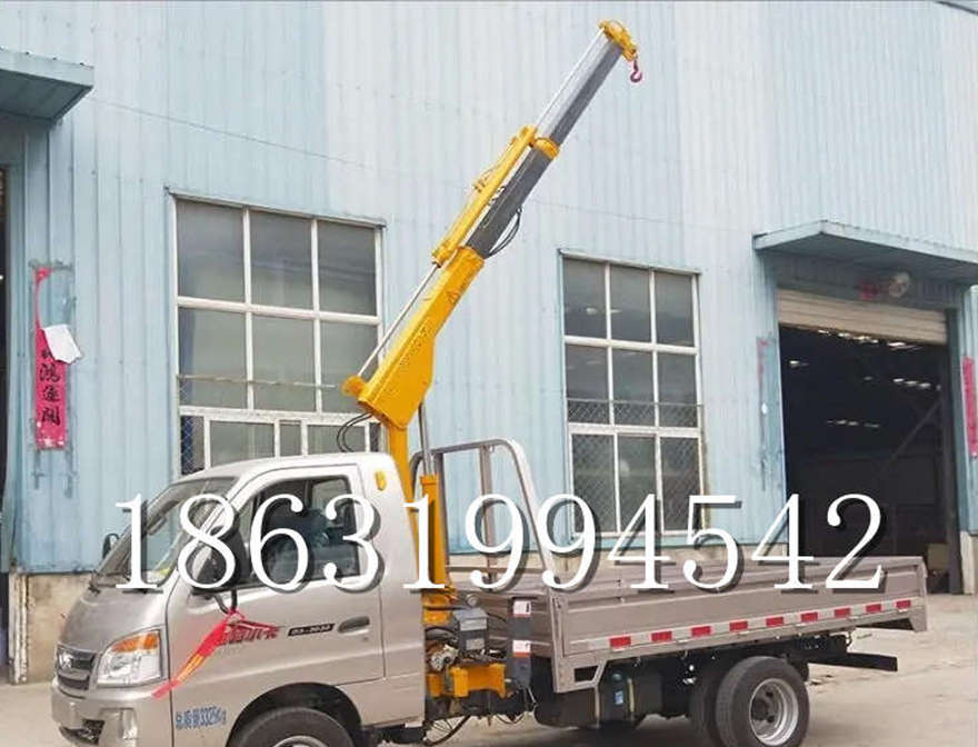 黑水县车载吊机黑水县附近装卸货物220伏家用吊机车载吊机装卸货物搬运1/2吨吊机